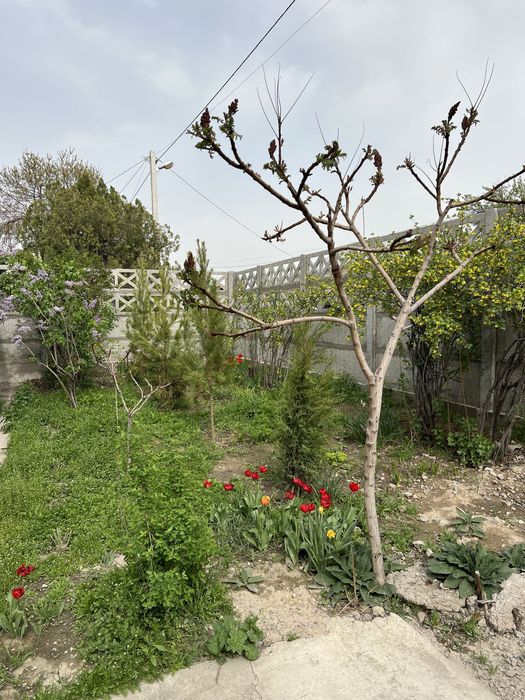 Срочно Продается Дом