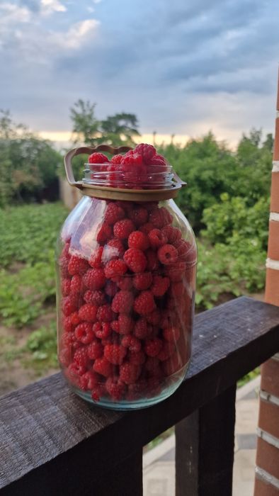 Продам малину 2300т/литр