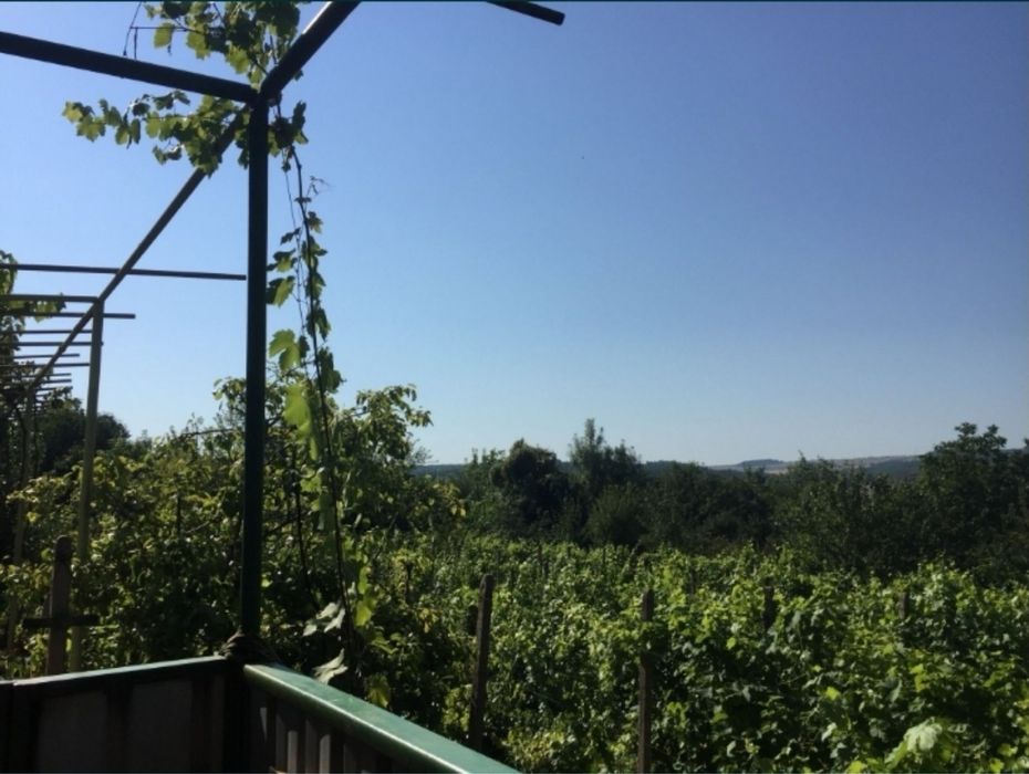 Продава се Къща в Плевен, Индустриална зона - Запад - 20 кв.м за 600 €/кв.м - Снимка #6