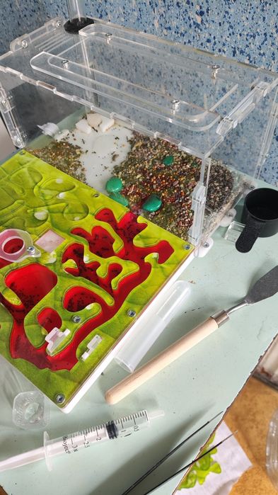 Колония муравьев жнецов.