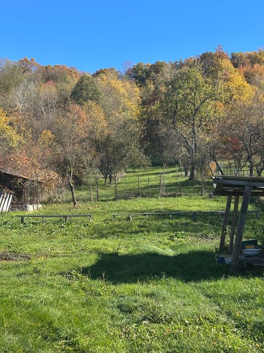 Casă bătrânească + casă nouă la roșu, teren 6.900 mp – Cotmeana, Argeș
