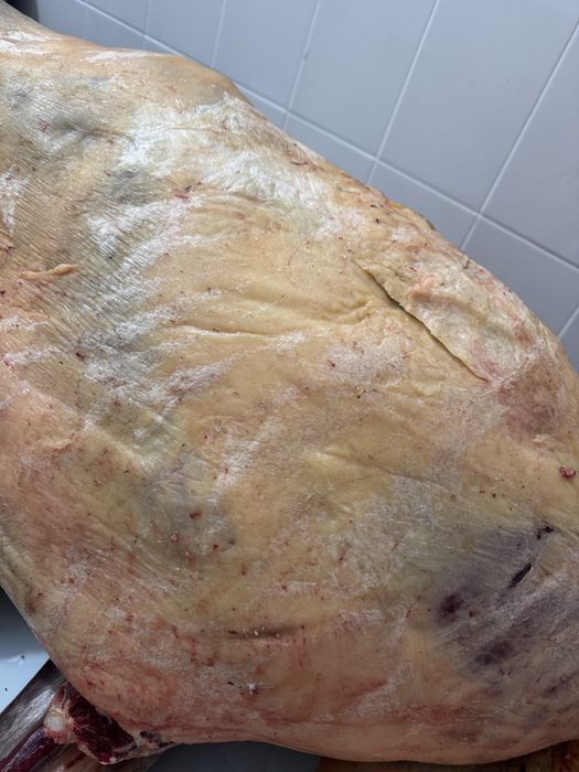 Жылкы байтал тай кунан 3000 тг