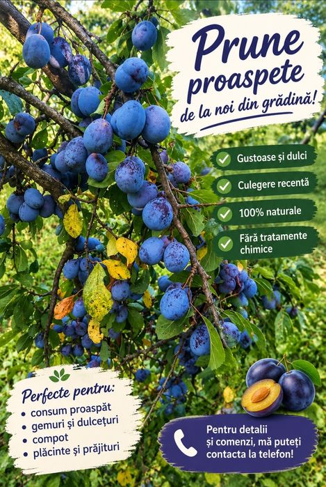 PRUNE de vanzare
