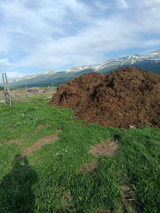 Продам навоз качественный