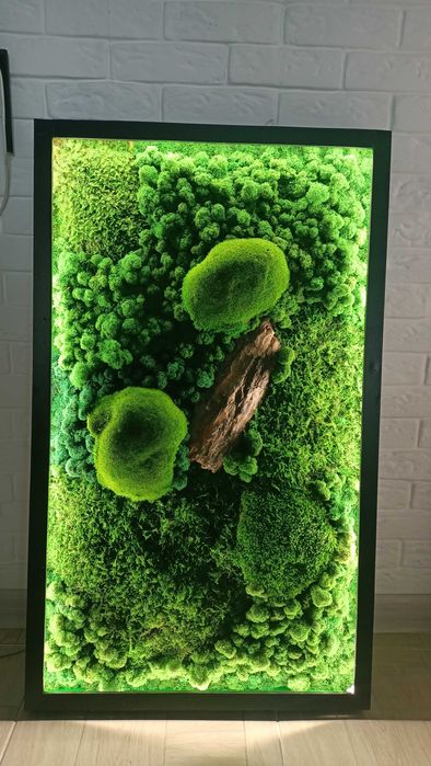 Картина из стабилизированного мха