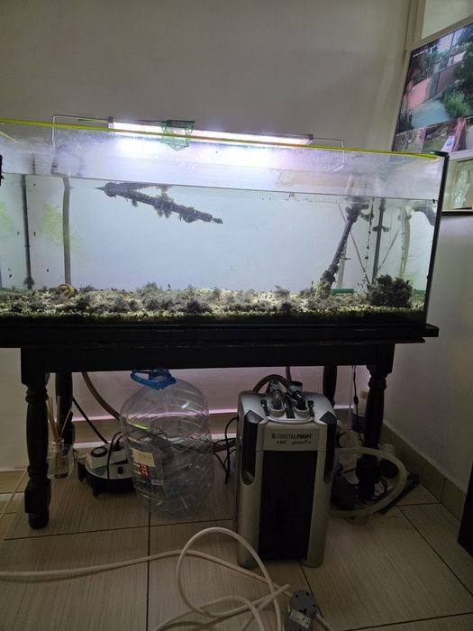 Acvariu 160 litrii complet cu jbl e902 si lampa schimbat cu TERARIU