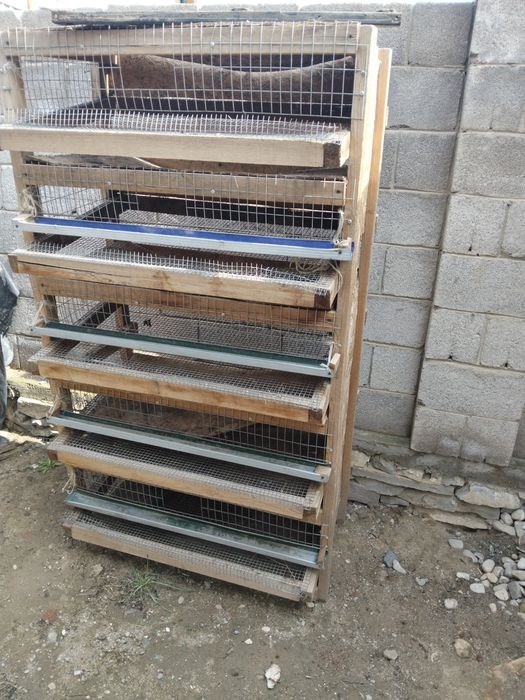 Клетки для перепелоа