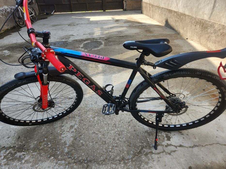 Велосипед 3 вида и канарейка