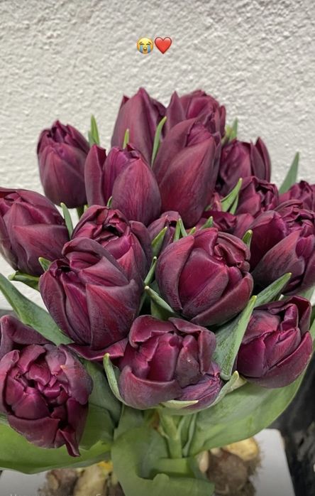 Тюлпаны красивые