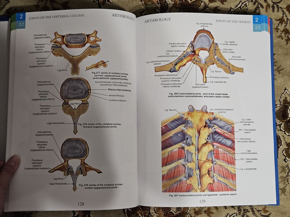 Atlase de anatomie Zanoschi