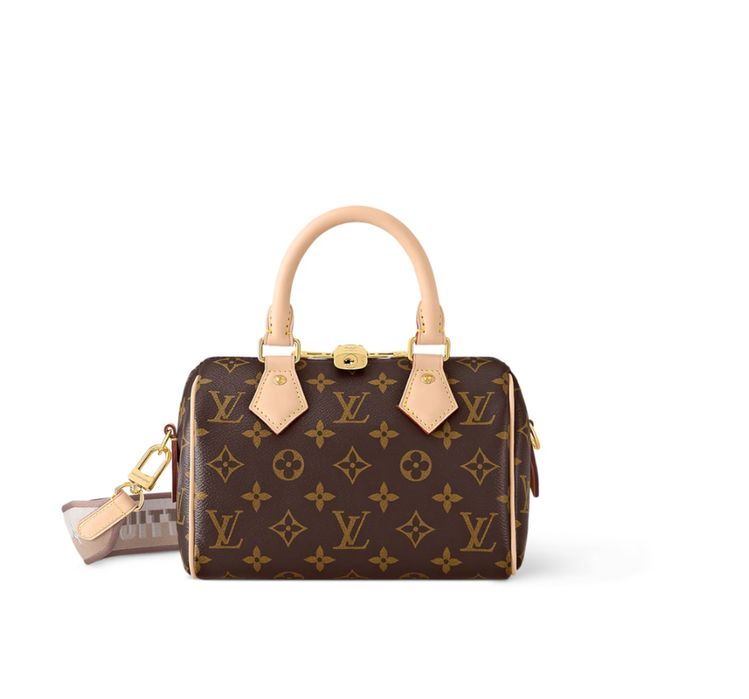 Сумка LV Louis Vuitton Speedy 20
