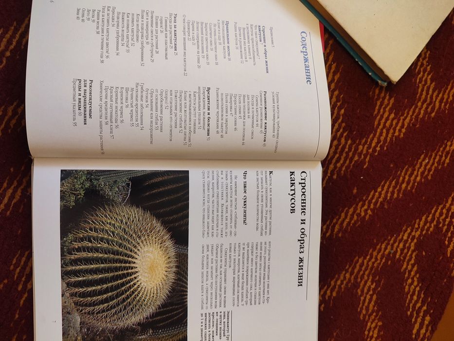 Продам книгу Кактусы