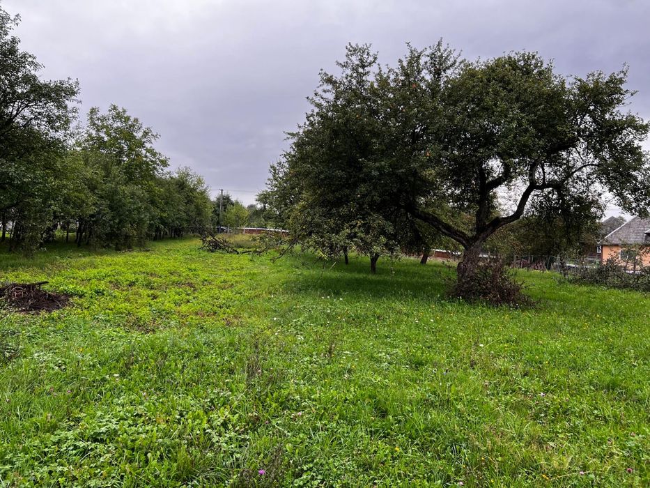 Vand teren intravilan in Hoteni (Breb) Maramures
