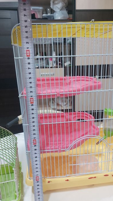 Клетки для грызунов