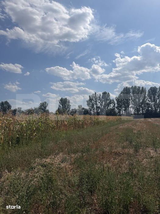 Teren extravilan, in suprafata de 9000 mp