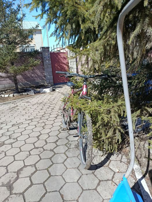 Горный велосипед trinx, скорее всего КО16 модели.