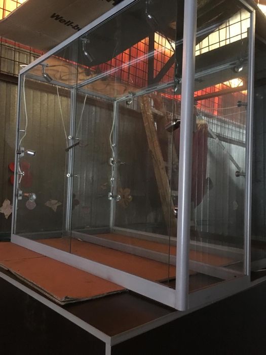 Vitrine stricla groasa si mobilier