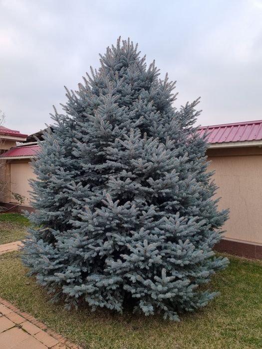 Срочно продаётся дача