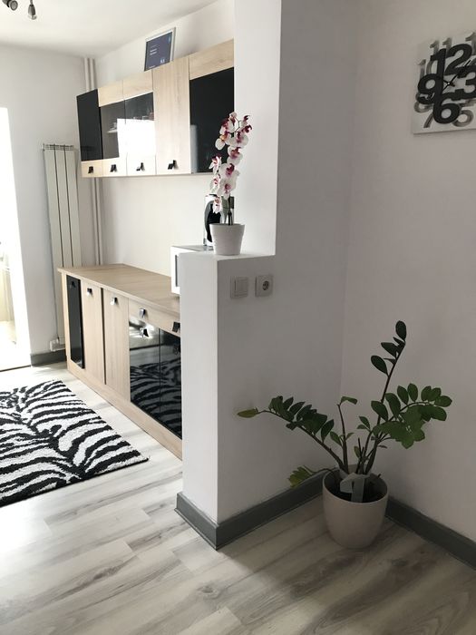 Inchiriez  ap. 3 cam Decebal, et.1