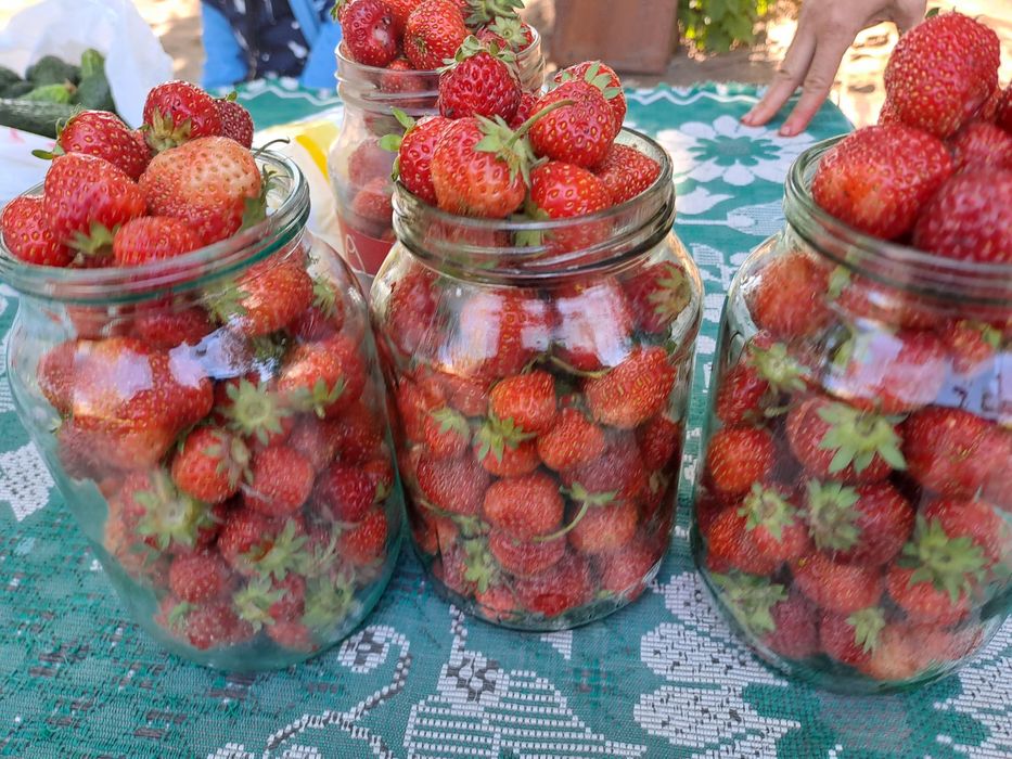 Продам соленья варенья