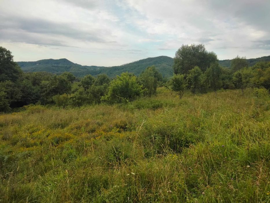 Vand teren extravilan - Comanca (Băile Olanesti - jud. Valcea)