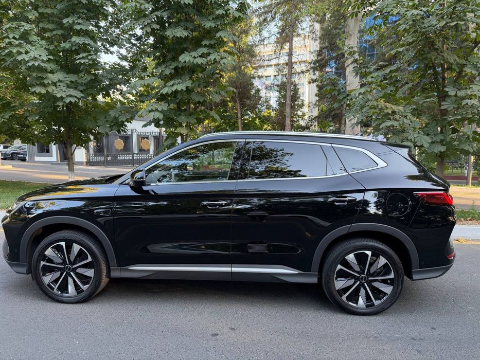 Byd champion smart