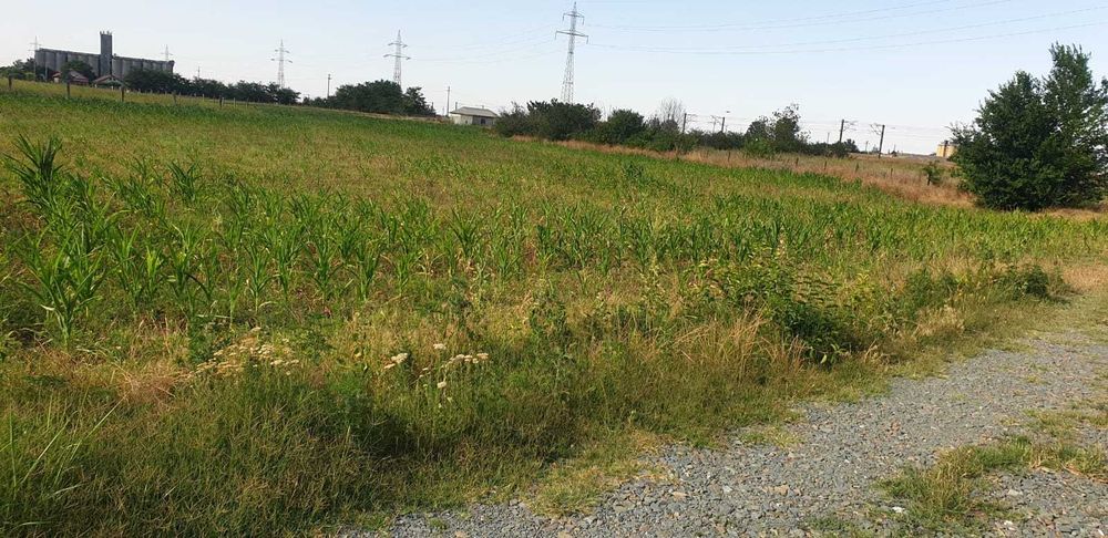 Vind teren intravilan 5000 mp Fetești str. Sperantei nr 15