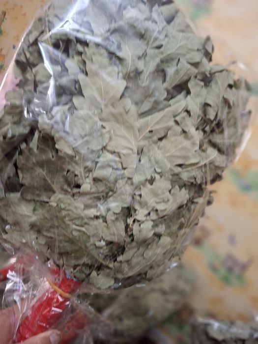 Продам  веник дубовыи