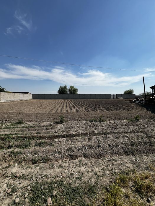 Земля в аренду или продажа