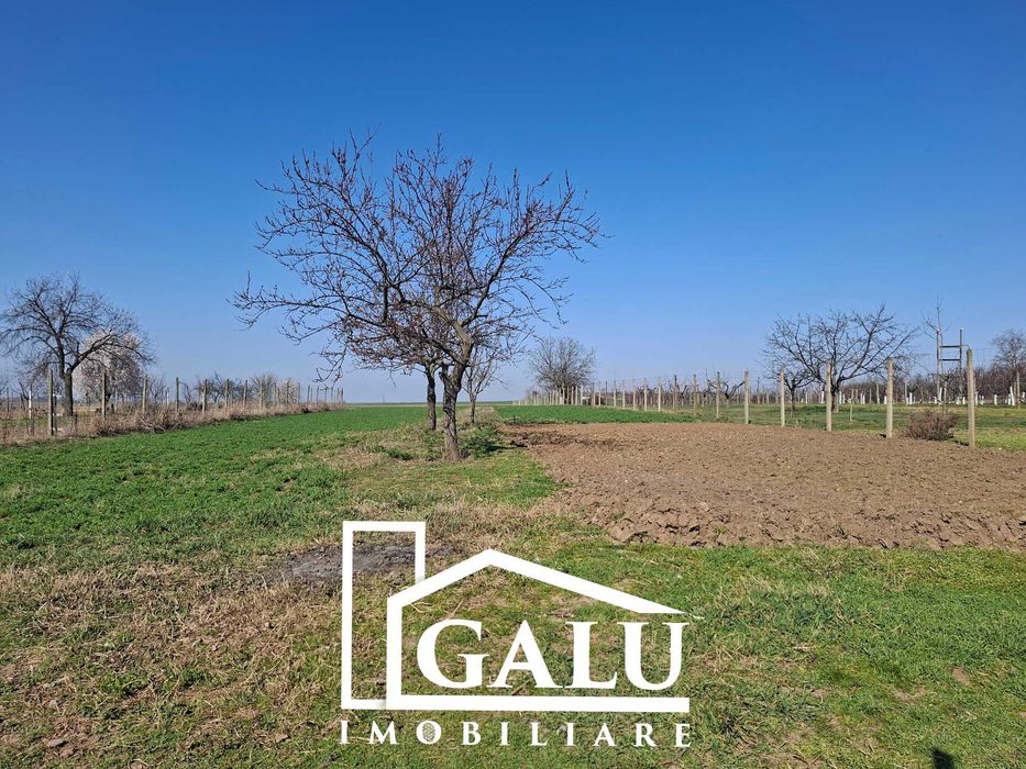 Casa cu teren3500mp Vaida com.Roșiori la 30km de Oradea