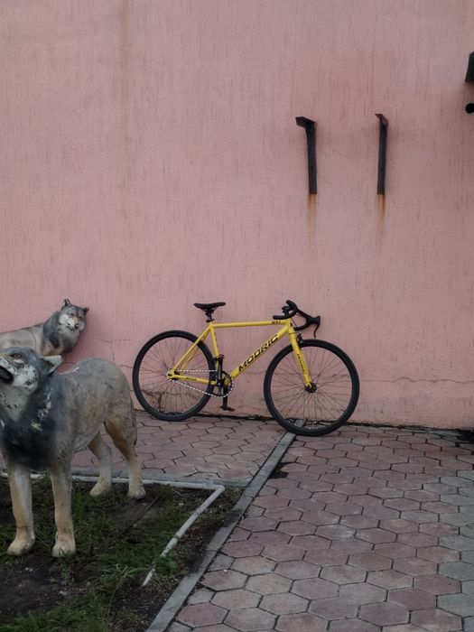 Fixed gear fixie