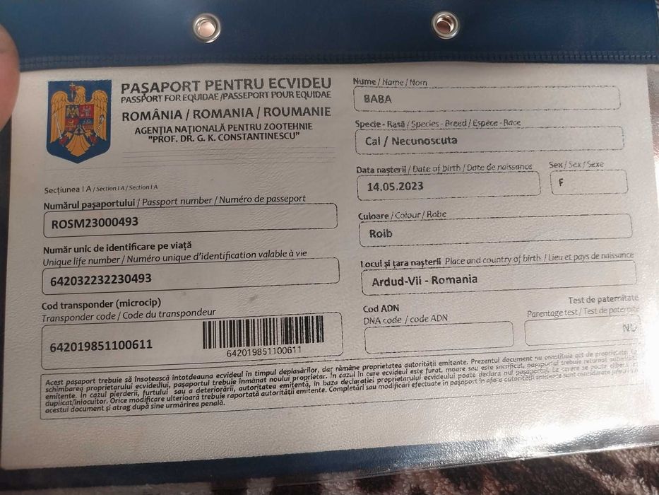 De vanzare manza