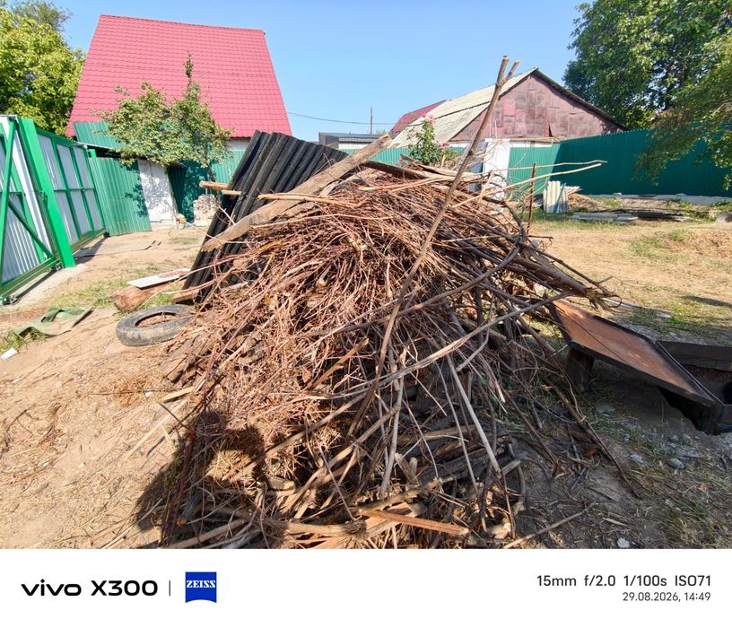 Дрова бесплатно с