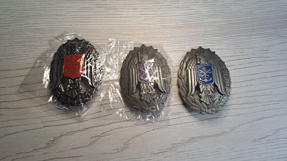 Insigna Academie Militara