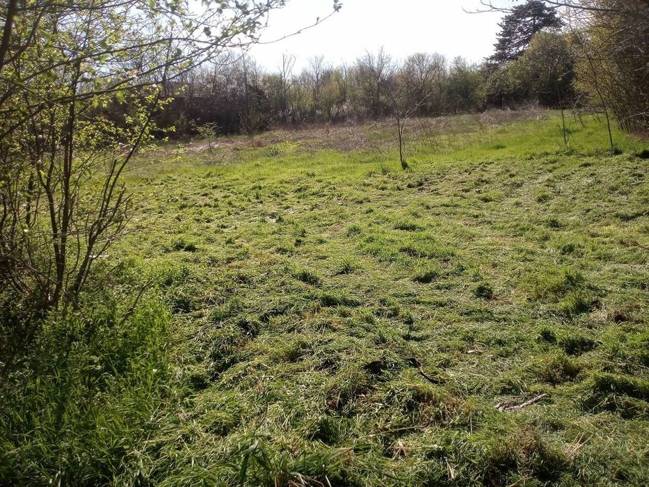 Продава се Парцел в с. Червена, Област Велико Търново - 2160 кв.м за 3 €/кв.м - Снимка #1