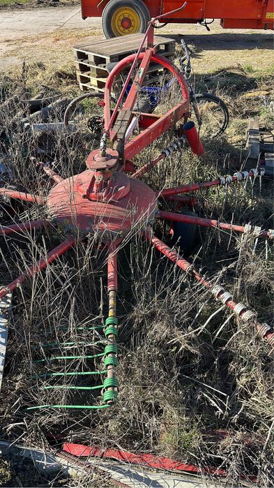 Cal de vanzare si grebla