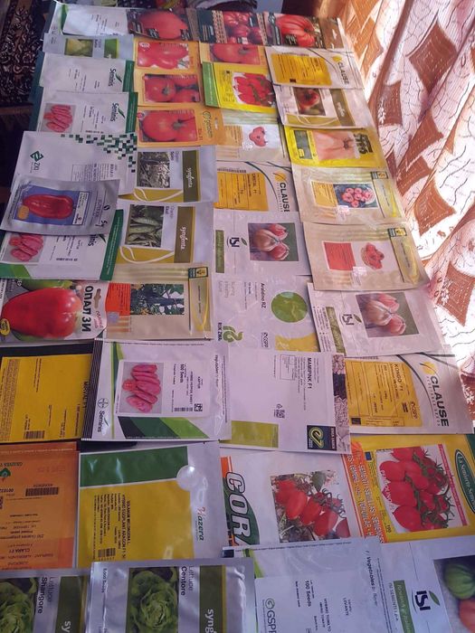 VAND RASADURI DE :Rosii,Ardei,Vinete,Castraveti din soiuri si hibrizi