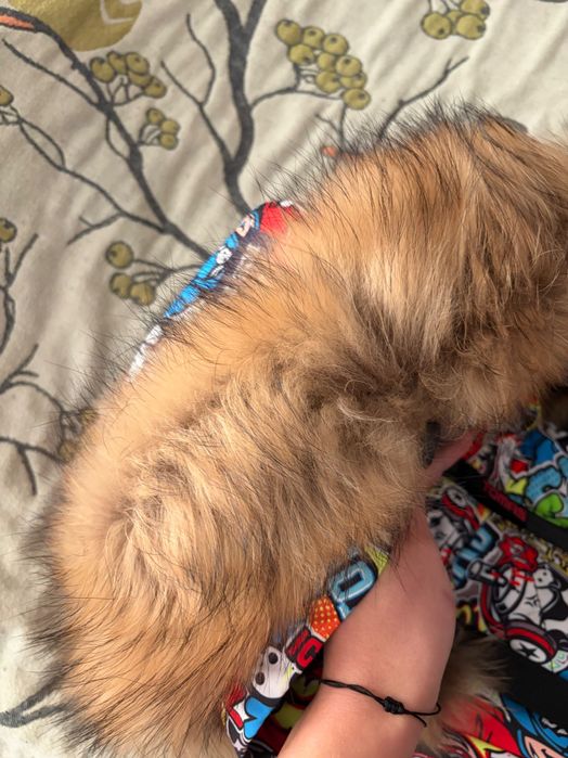 Комбинезон зимний ice Tomas