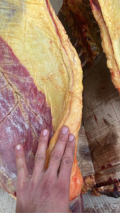 Қасапшы на Ет бұзу