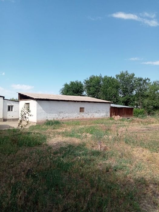 Продам дом в сельской местности