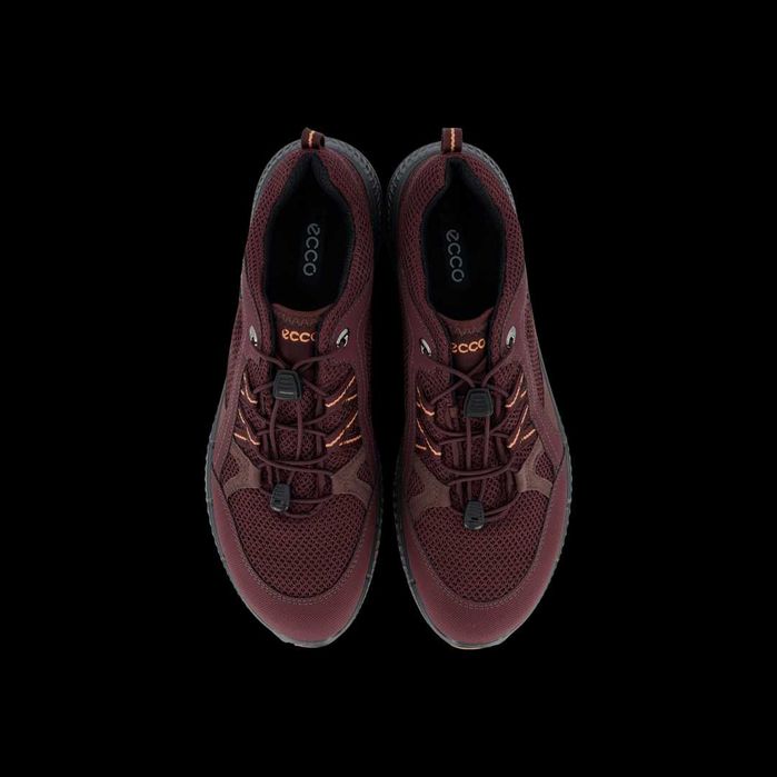 Adidasi ECCO TERRACRUISE II GTX 42. Noi la cutie (Gore-Tex)