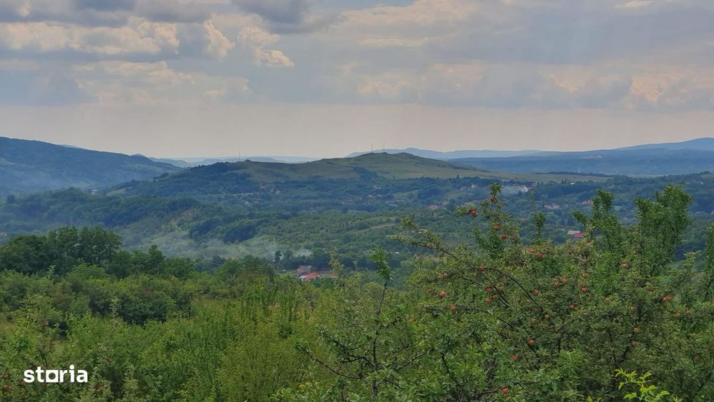 Teren intravilan cu livada 9000mp - zona Valenii de Munte
