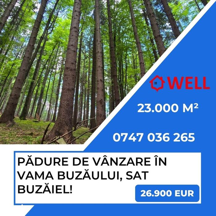 Pădure de vânzare în Vama Buzăului, sat Buzăiel!