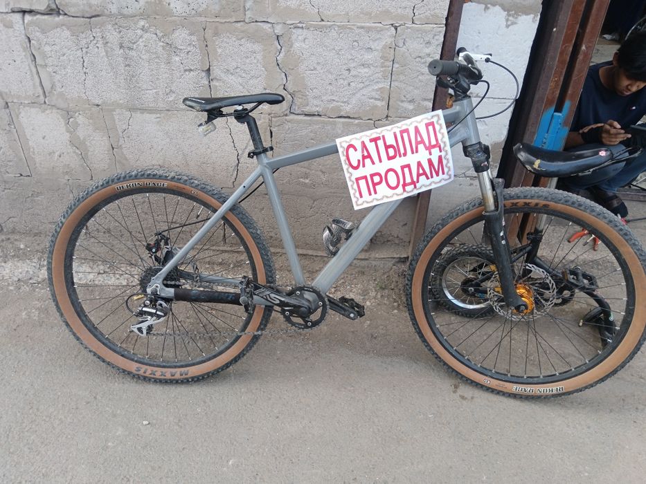 Названия Триникс с дакументом