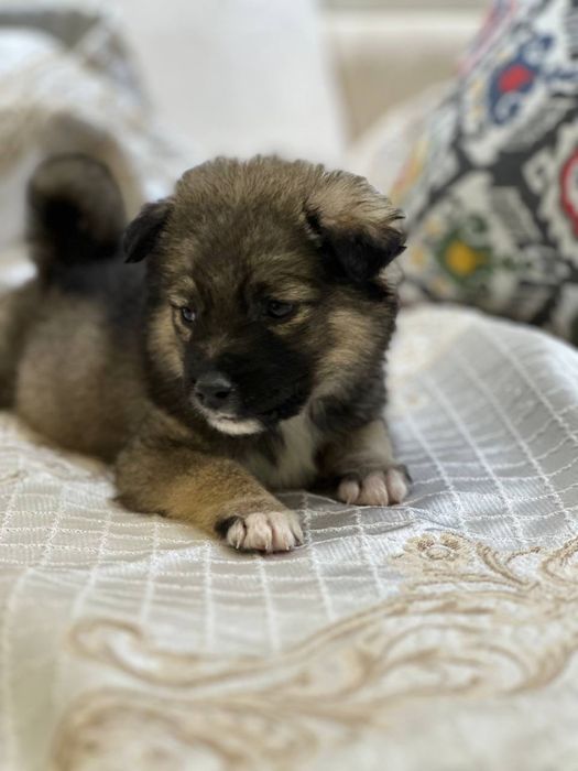 Малышам срочно нужен дом и семья!