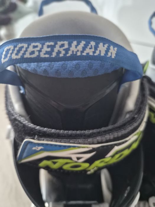 Clapari Nordica Dobermann , copii, băieți