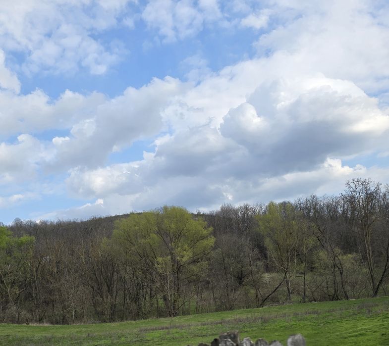 Titlu: Casă bătrânească de vânzare cu curte generoasă – Sat Șendresti, Com. Motoșeni, jud. Bacău
​Descriere:
​Vă propun spre vânzare o gospodărie situ