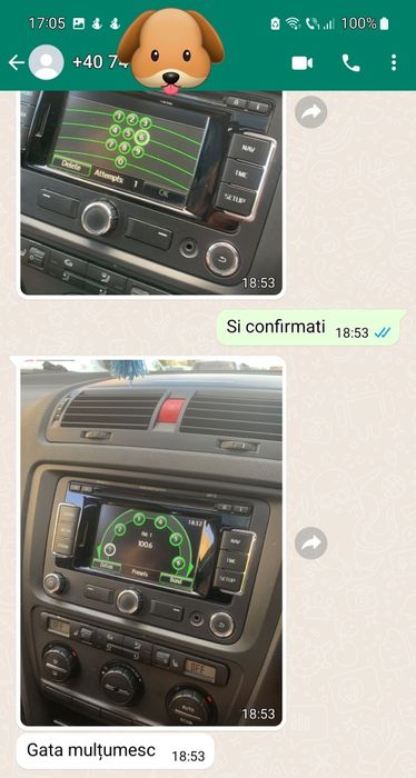 Decodare Radio navigatii pin safe