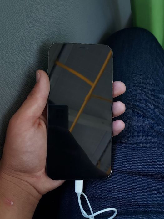 iPhone 12 pro max