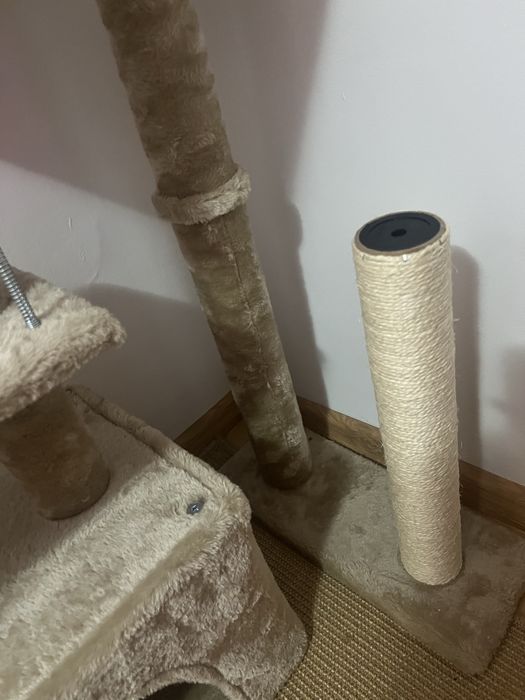 Amsamblu pisici 3 nivele